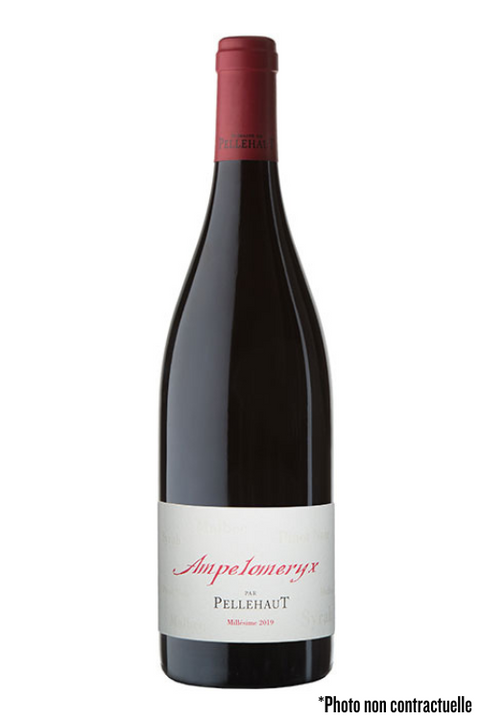 Vin Rouge – Vin de France – Ampelomeryx – Domaine Pellehaut
