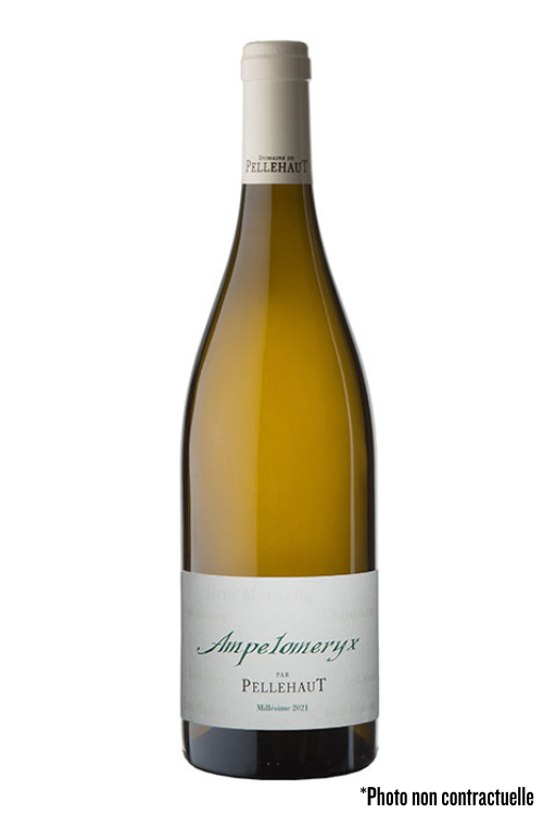 Vin Blanc – Vin de France- Ampelomeryx – Domaine Pellehaut